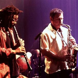 Foto Lulu on the Bridge