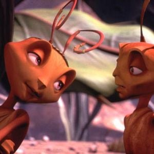 Foto Antz (Hormigaz)