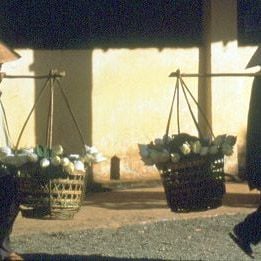 Foto Tres estaciones