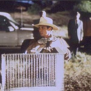 Foto Bats (Murciélagos)