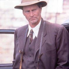 Foto Mientras nieva sobre los cedros