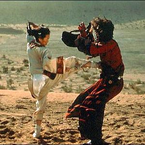 Foto Tigre y Dragón