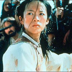 Foto Tigre y Dragón