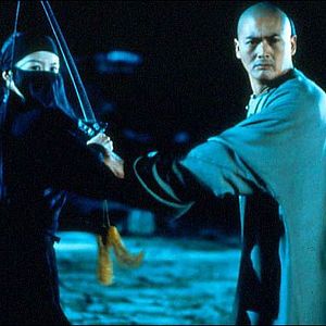 Foto Tigre y Dragón