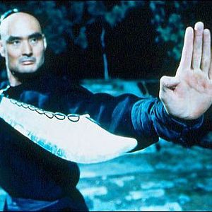 Foto Tigre y Dragón