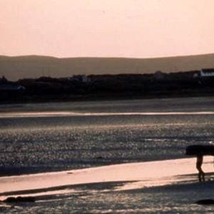 Foto De profesión Solteros