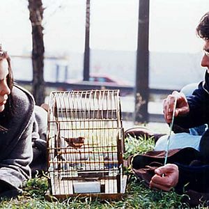 Foto La fuente amarilla