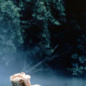 Foto El viejo que leía novelas de amor