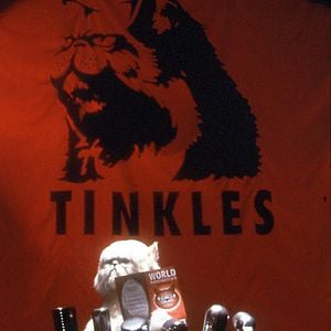 Foto Como perros y gatos