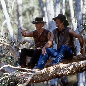 Foto Cocodrilo Dundee en Los Ángeles