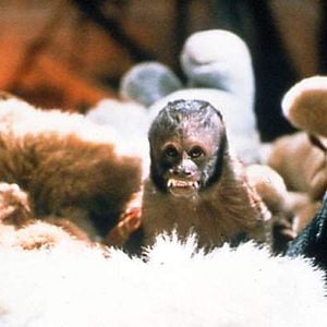 Foto Dream Valley: Área Maldita