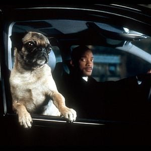 Foto Hombres de Negro II