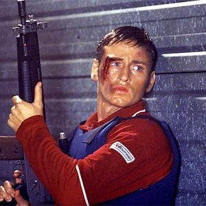 Foto Nido de avispas