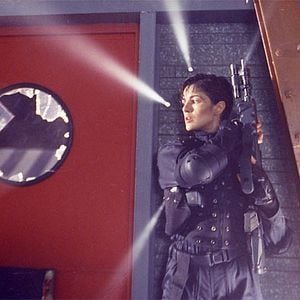 Foto Nido de avispas