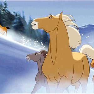 Foto Spirit: El corcel indomable