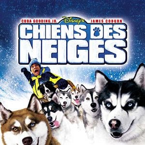 Foto Aventuras en Alaska