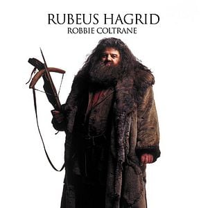 Foto Harry Potter y la Cámara Secreta