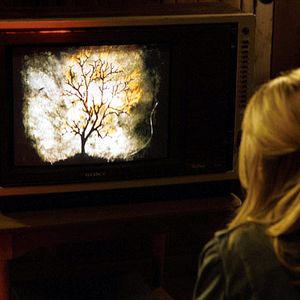 Foto The Ring (La señal)