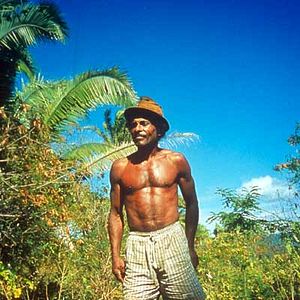 Foto Romances de terre et d'eau