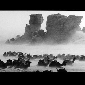 Foto Un Homme sans l'Occident