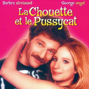 Foto La gatita y el búho