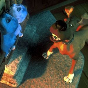 Foto El bosque animado