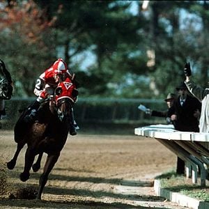 Foto Seabiscuit (Más allá de la leyenda)