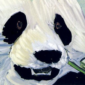 Foto Lucinda Clutterbuck