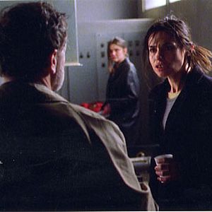 Foto El tiempo del lobo