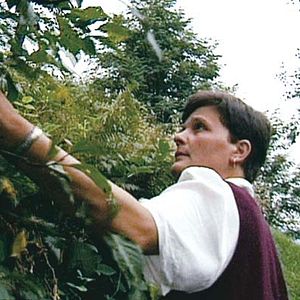 Foto Laurent Bécue-Renard