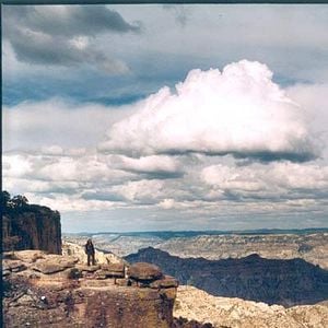 Foto Blueberry. La experiencia secreta