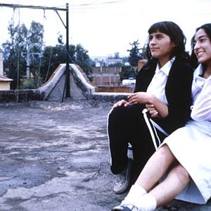 Foto Nadie te oye: Perfume de violetas