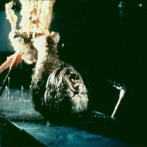 Foto La cosa (El enigma de otro mundo)