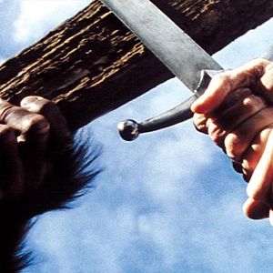 Foto Le Monde vivant