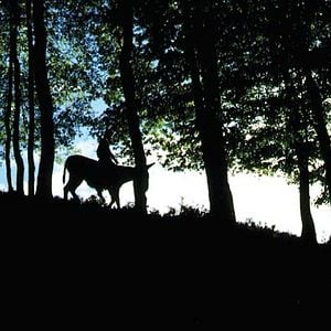 Foto Le Monde vivant