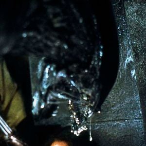 Foto Paul W.S. Anderson