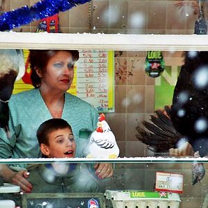 Foto Andréa Ferréol