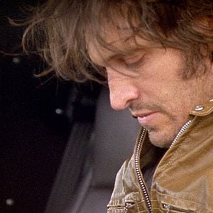 Foto The Brown bunny