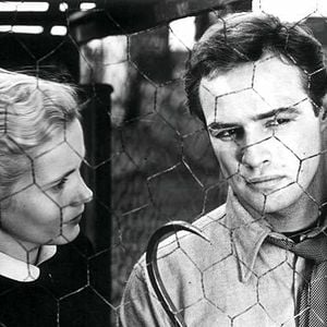 Foto Eva Marie Saint