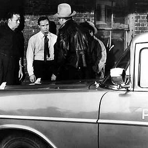 Foto Piel de serpiente