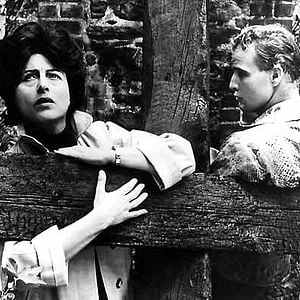 Foto Piel de serpiente