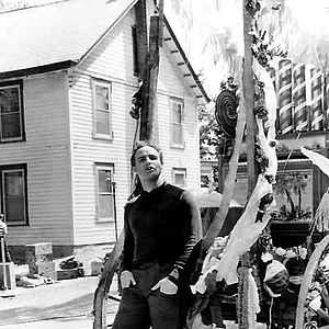 Foto Piel de serpiente