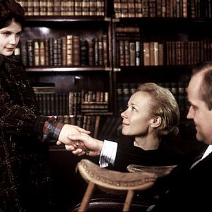 Foto La calle de las rosas