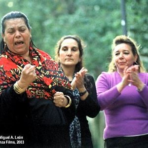 Foto Polígono sur (El arte de las tres mil)