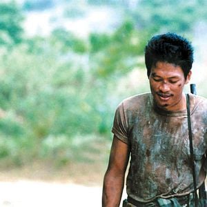 Foto Tropical Malady