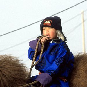 Foto La historia del camello que llora