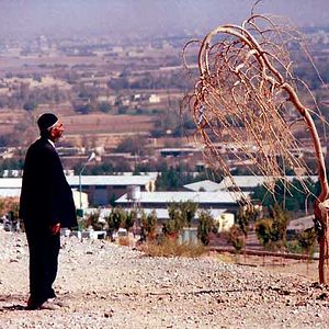 Foto Mohsen Amiryoussefi