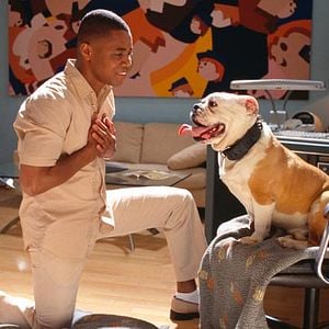 Foto Boat trip: Este barco es un peligro