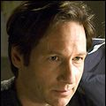 Foto David Duchovny