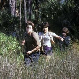 Foto David Gordon Green